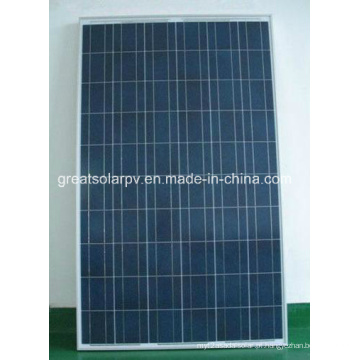 250W Poly Solar Panel com excelente eficiência fabricada na China